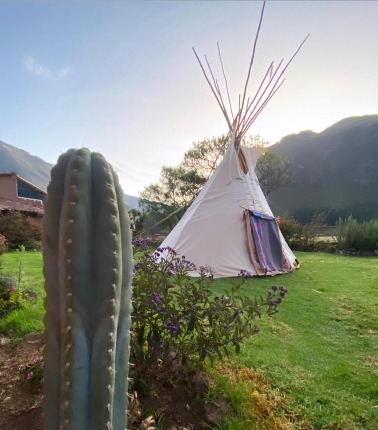 Sonqo Andino Hospedaje Medicina Pisac Eksteriør bilde